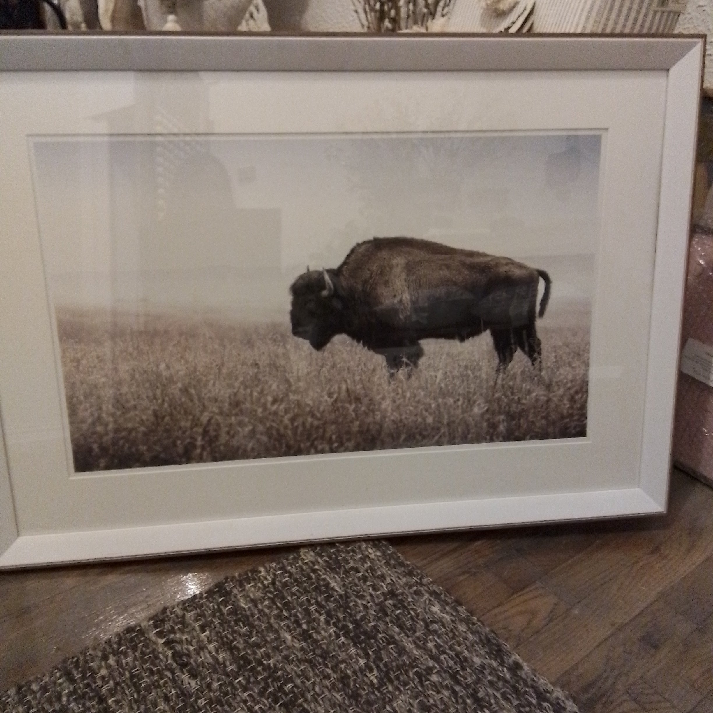 Buffalo