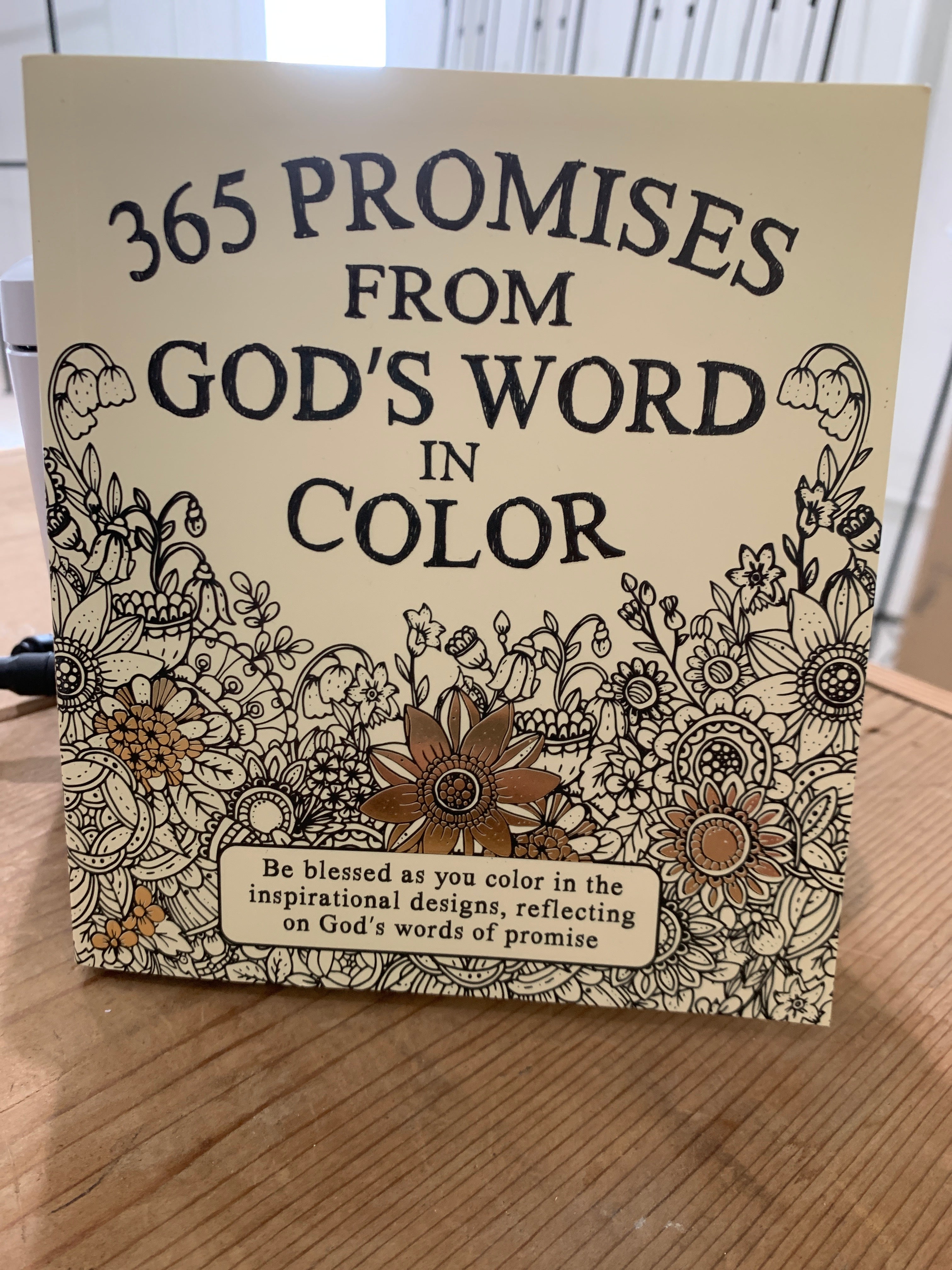 365 Promises in Color