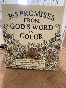 365 Promises in Color