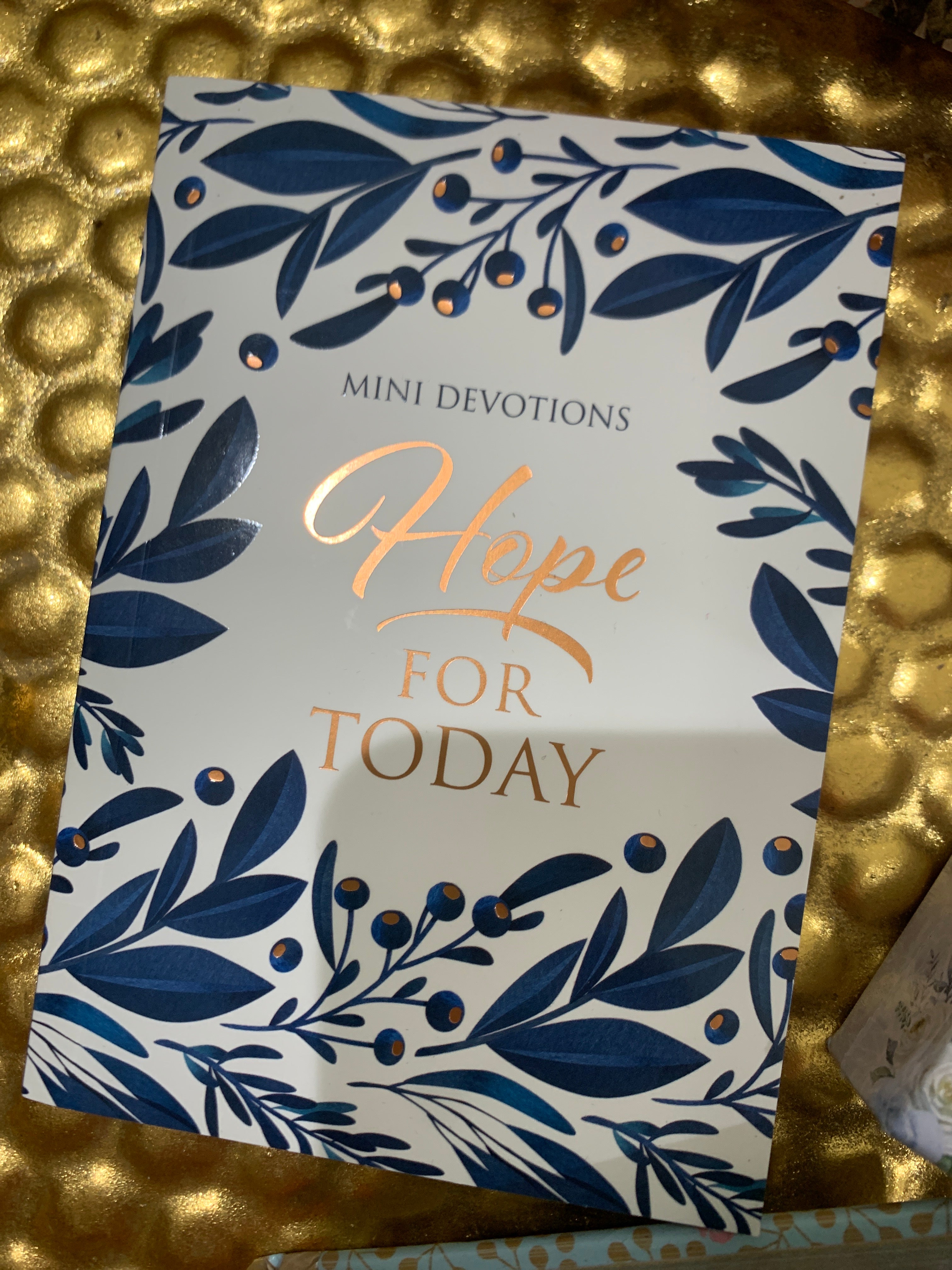 Mini Devotions Hope