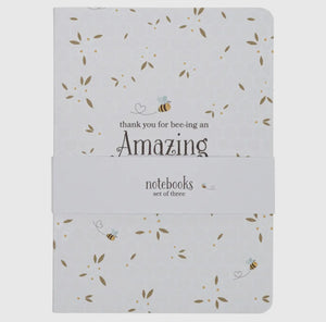 Amazing Teacher Notebook Set