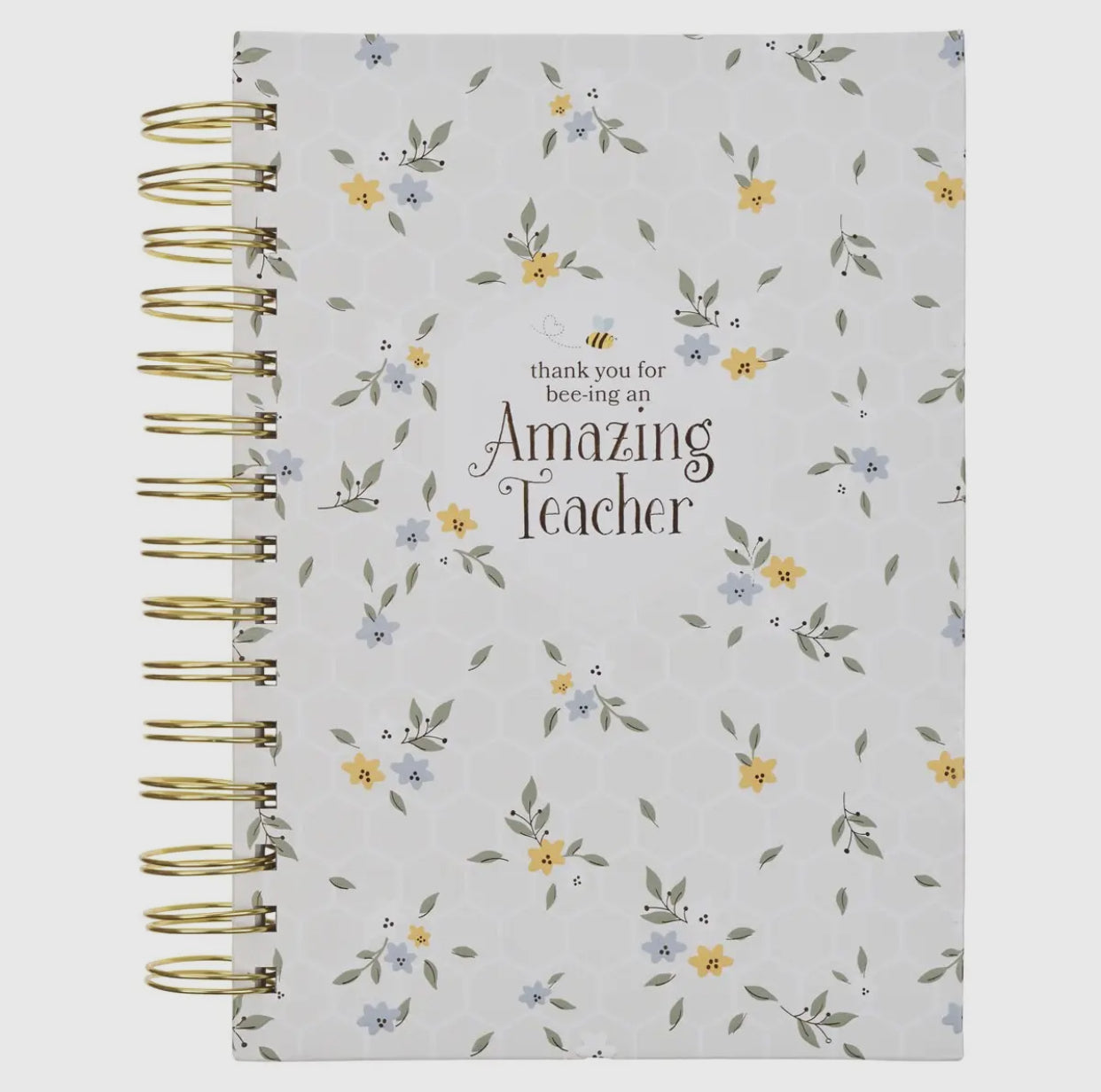 Amazing Teacher Spiral