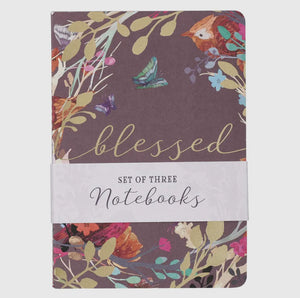 Notebooks- Set of 3