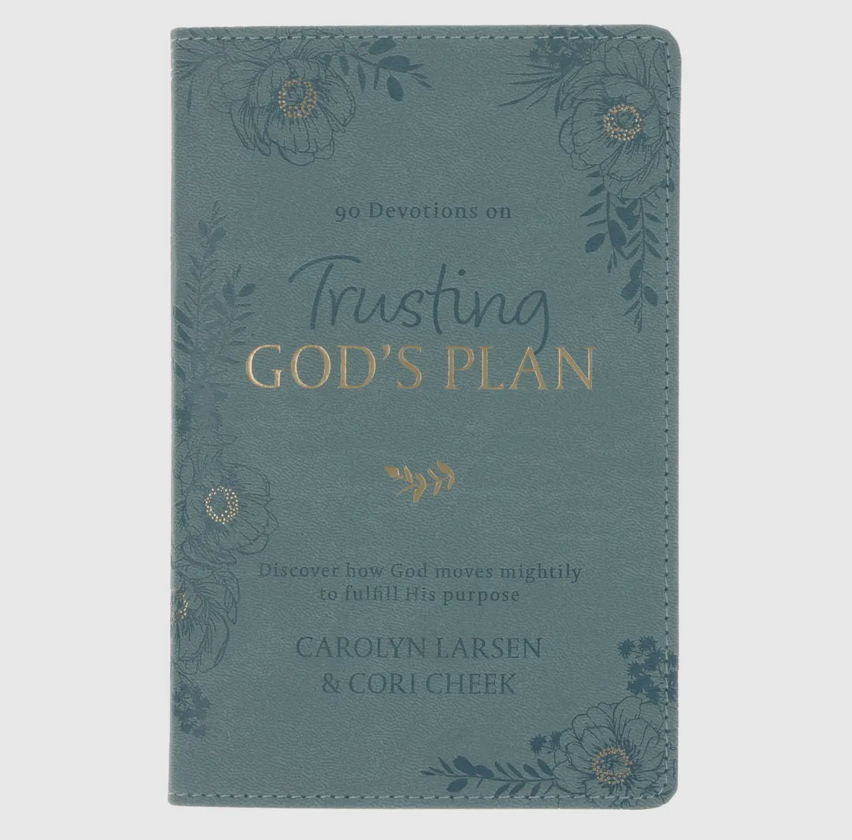 Devotional- Trusting God’s Plan