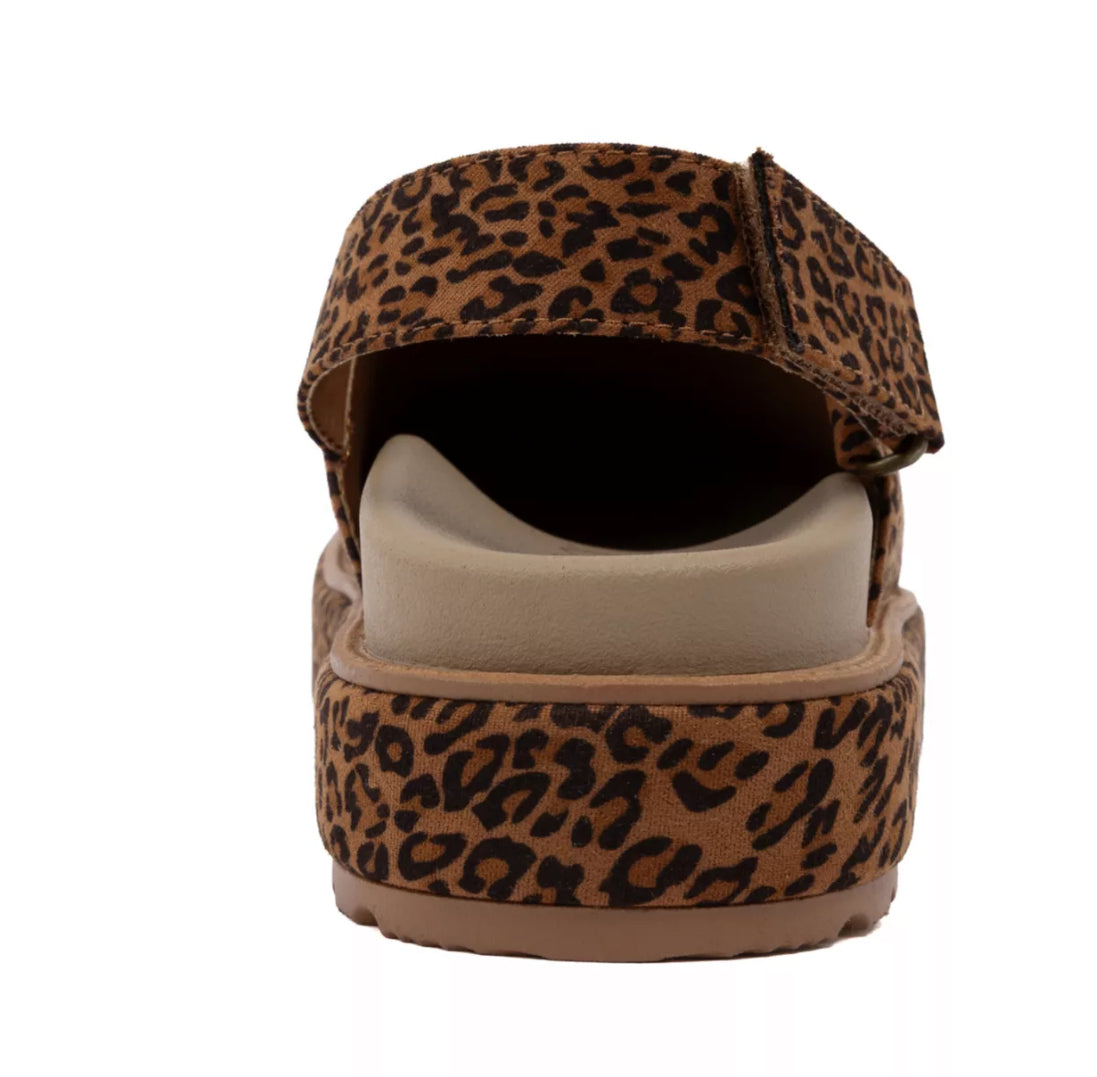 Leopard Print Suede Clogs