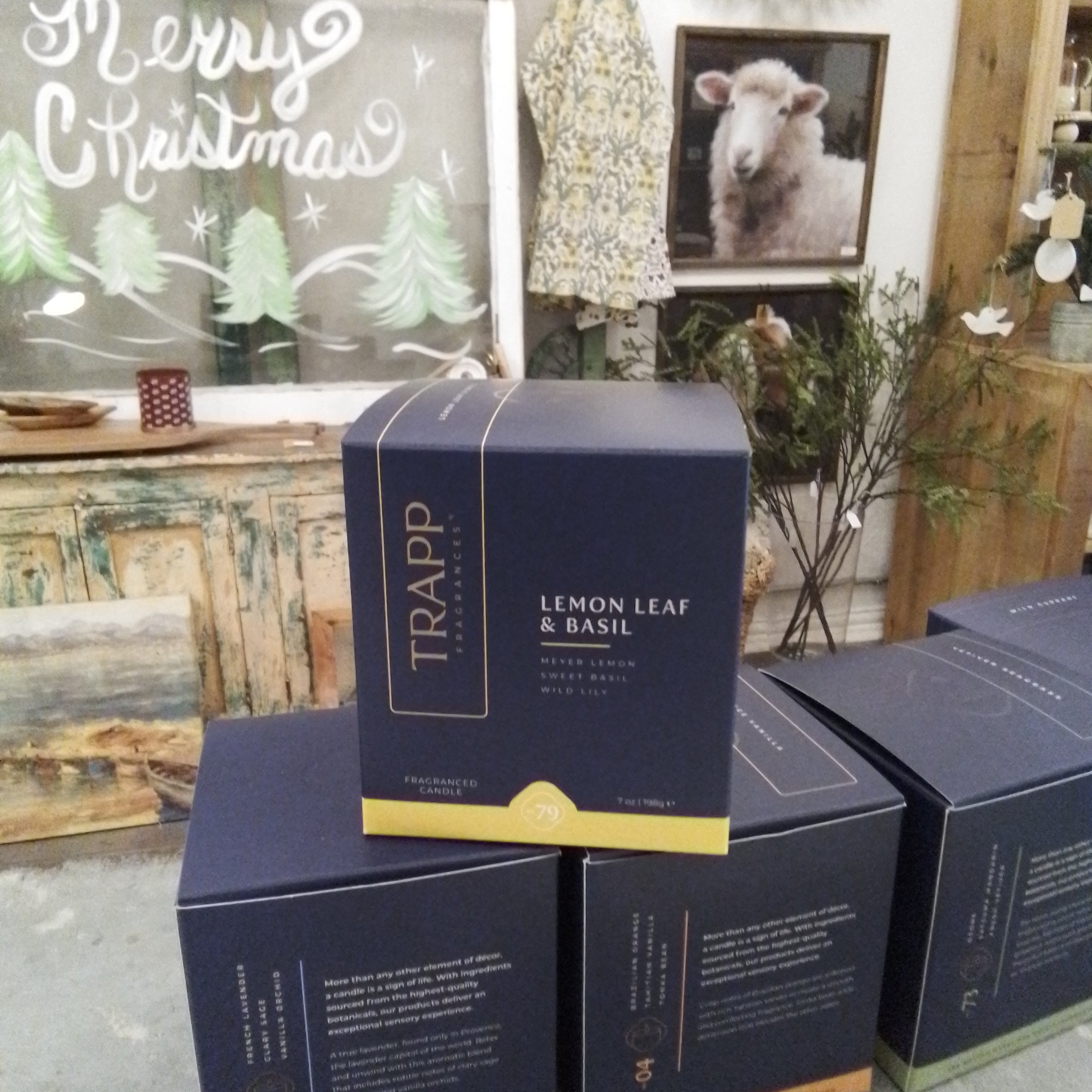 Trapp lemon leaf basil #79 Candle