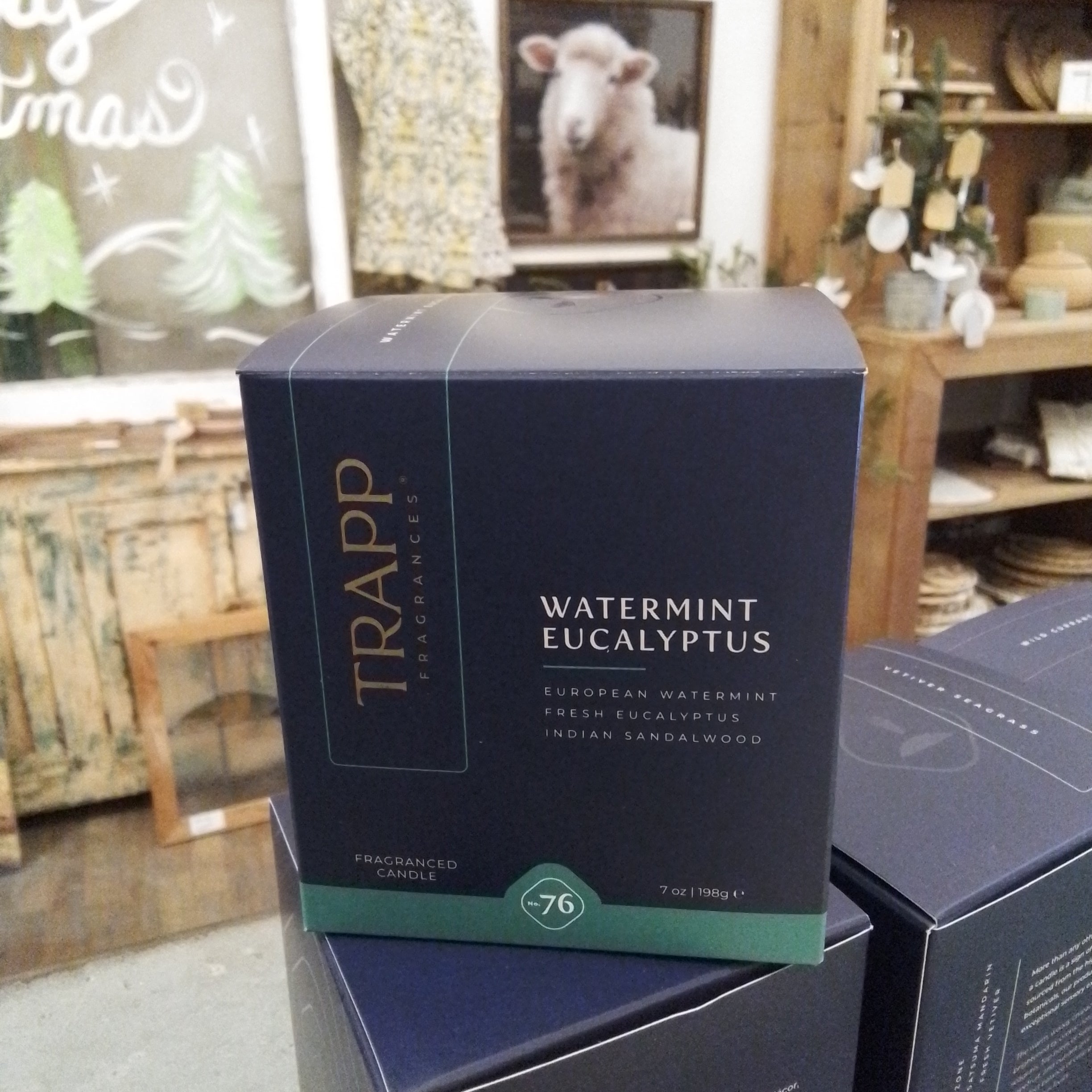 Trapp watermint eucalyptus #76 Candle