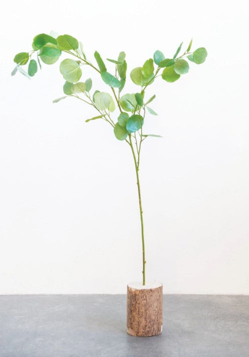 DF1368  Eucalyptus Stem 54.25"H