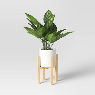 KNK046   Green Plant in Plant Stand