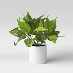 KNK024  Faux Potted Plant