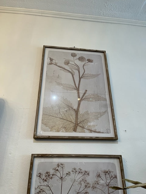 KNK006  Weed Picture Wood Frame