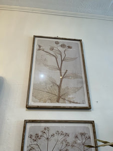 KNK006  Weed Picture Wood Frame