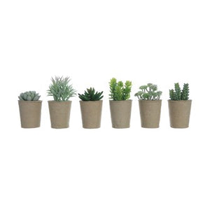 DF0925A   5-1/2"H Faux Succulent in Paper Pot, 6 Styles