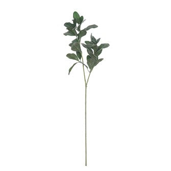 DF1282  28"H Faux Lemon Leaf Branch
