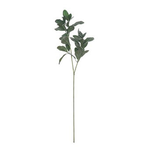 DF1282  28"H Faux Lemon Leaf Branch