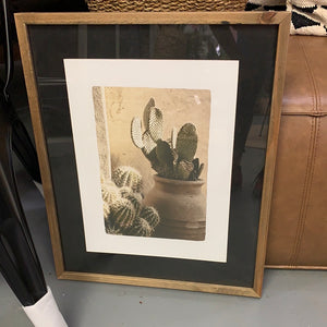 KH2267  Cactus Photo Framed Art  kh2267