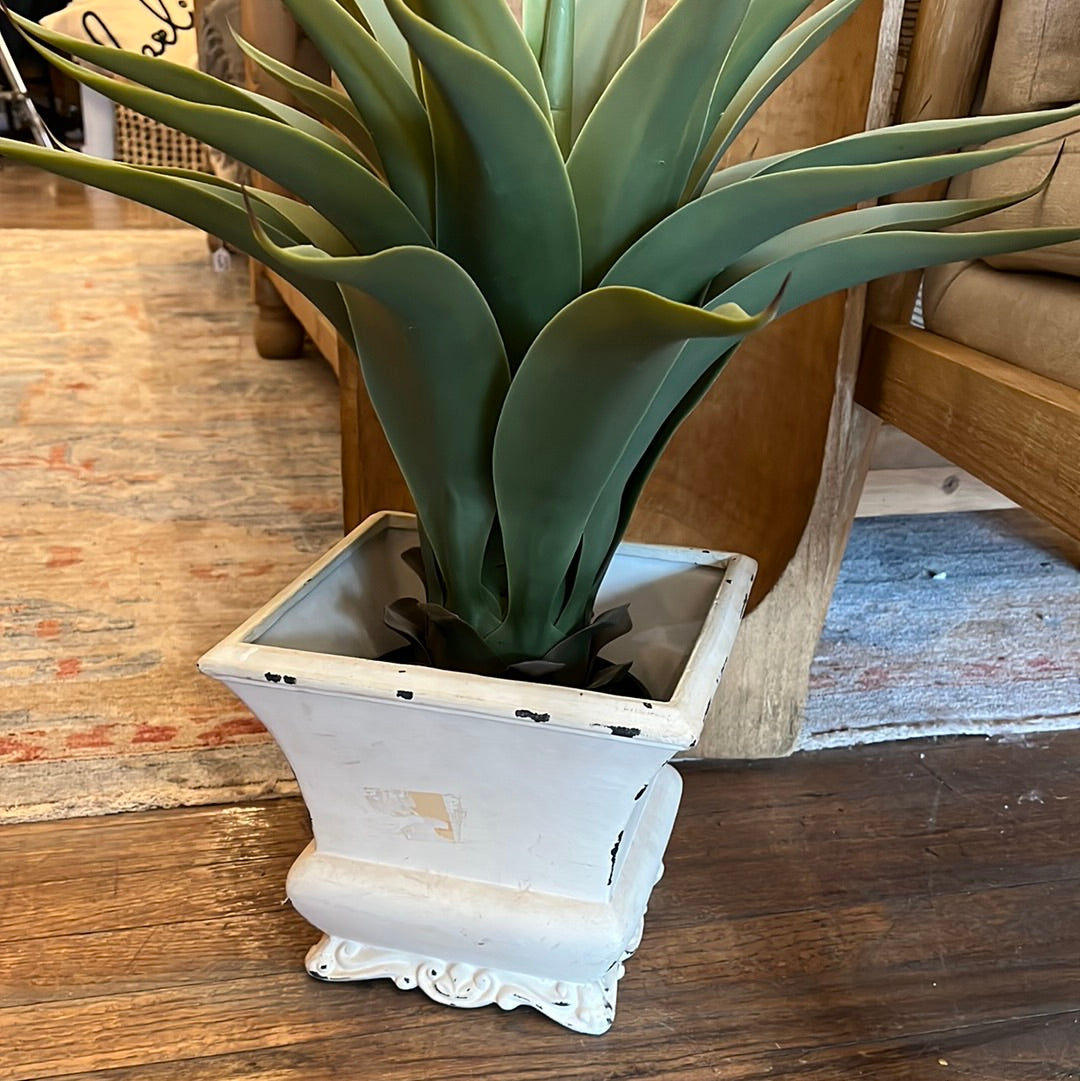 White square pot